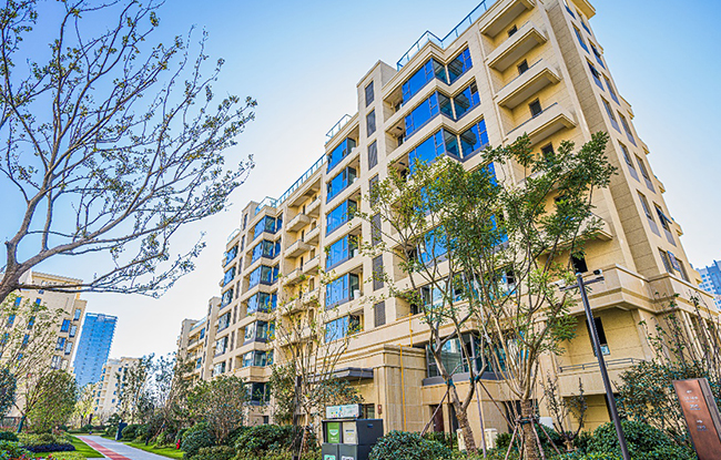 ����������ۡ�ǻ�������Ŀ