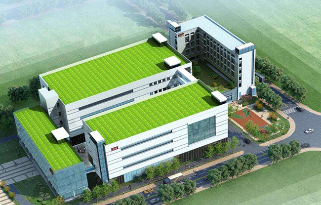 ����׿���ǻ۳�����Ŀ